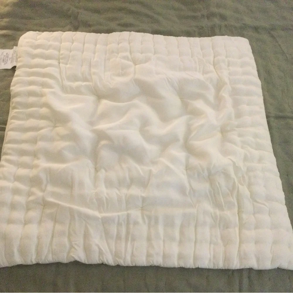 Pottery Barn Ivory Silk Euro Pillow Sham